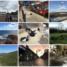 stefdies_postcards9