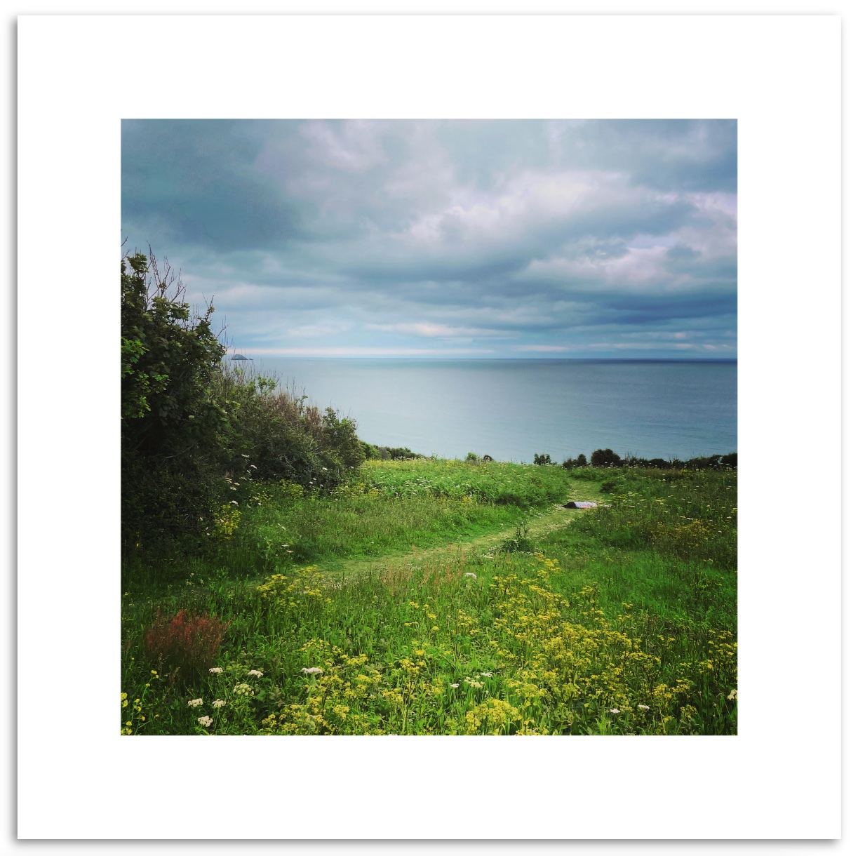 stefdies_cornwall