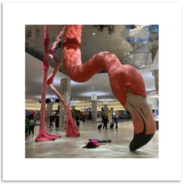STEFDIES with Giant Flamingo (Tampa) - Limited Edition of 75