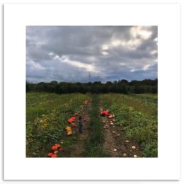 STEFDIES with Kid and Pumpkins - Limited Edition of 75