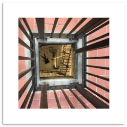 STEFDIES in Lucca Bell Tower - Limited Edition of 75