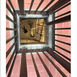 STEFDIES in Lucca Bell Tower - Limited Edition/Wide