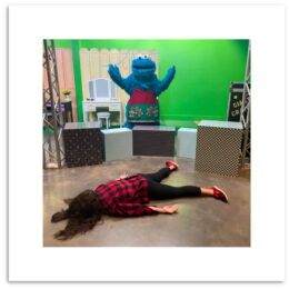 STEFDIES with Cookie Monster - Limited Edition of 75